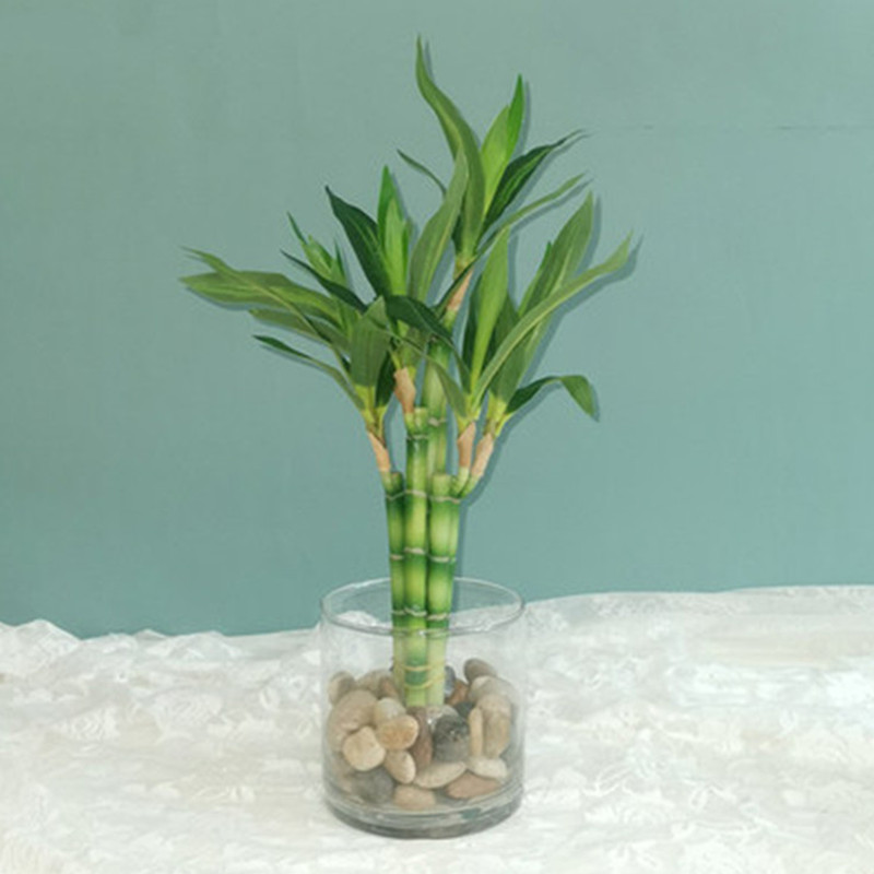 Desk Setup At Home - New 40cm rFtificial Lucky Bamboo Succulent