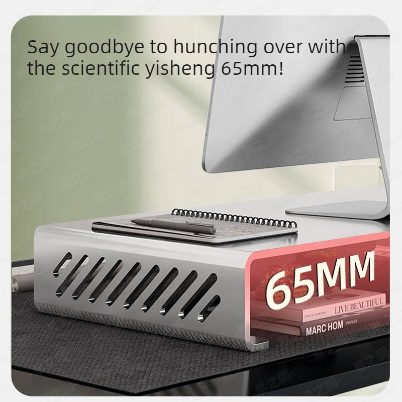 Computer Monitor Stand Riser E - Desk Setup For Laptop And Monitor review and price