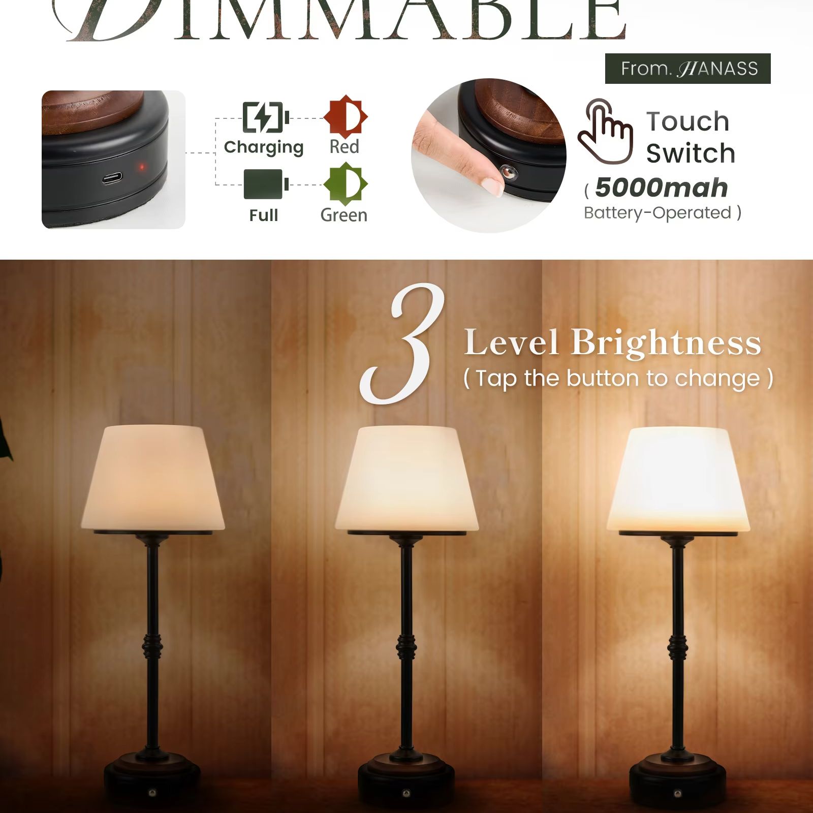 Cordless Table Lamps Set of  5 - Desk Setup Modern review and price