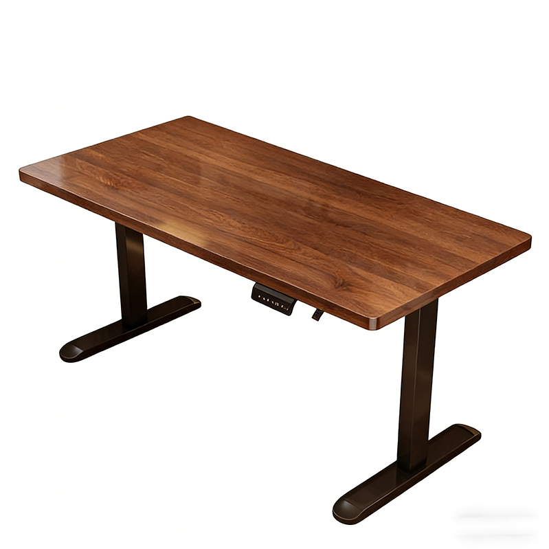 Modern Iron Dual Motor Electri - Desk Setup Designer review and price