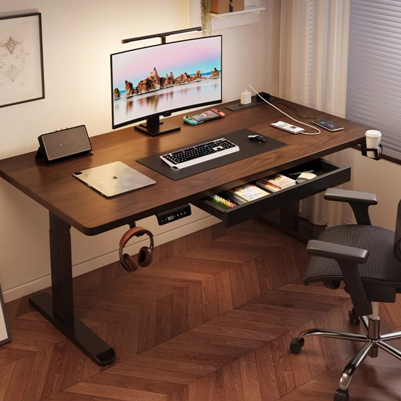Modern Iron Dual Motor Electri - Desk Setup Designer review and price