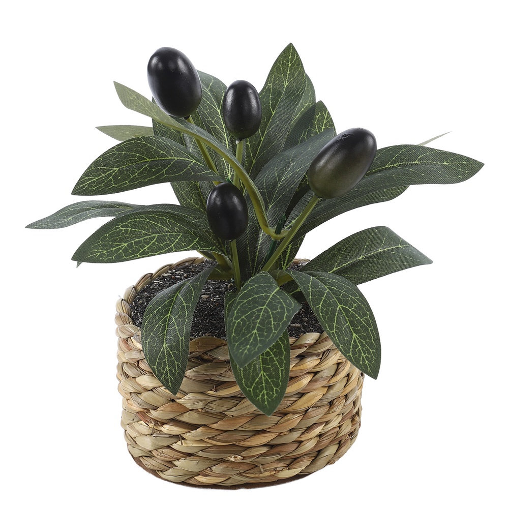 Artificial Plants Pocket Olive - Desk Setup At Home review and price